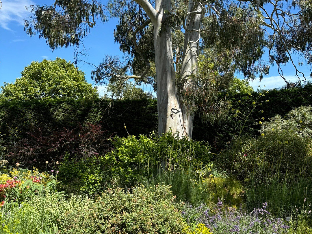Beth Chatto's Plants & Gardens景点图片