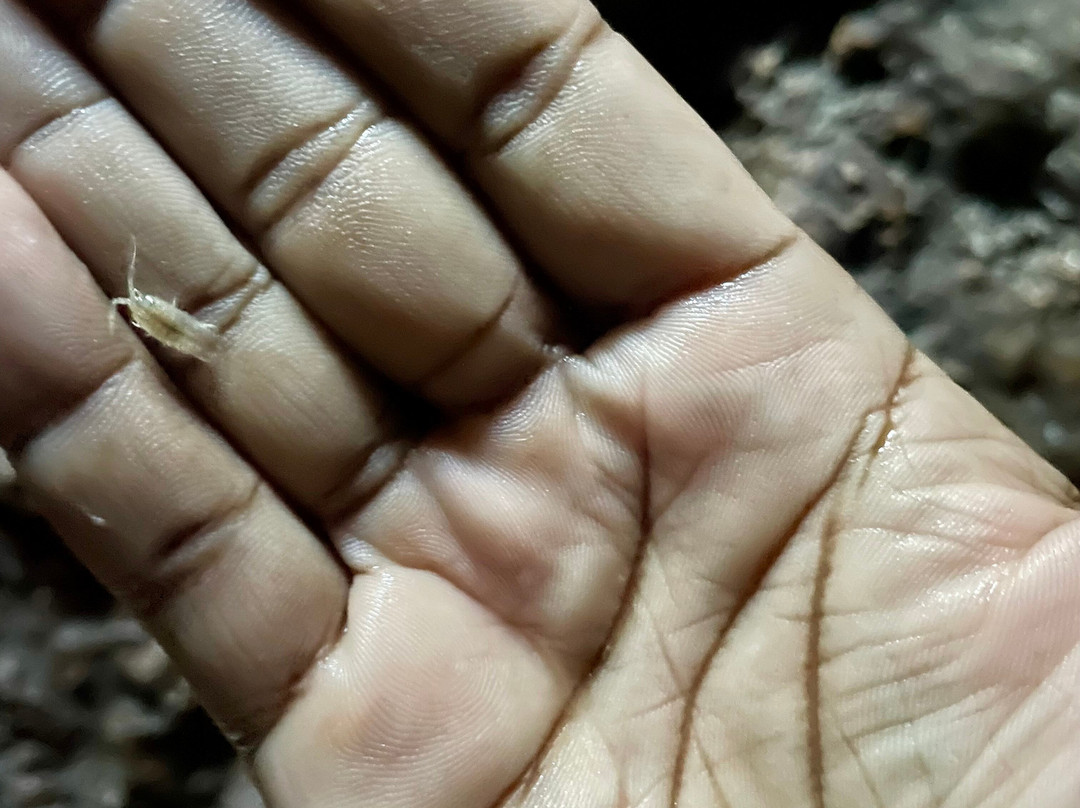 Kuza Cave-江比阿尼必去景点