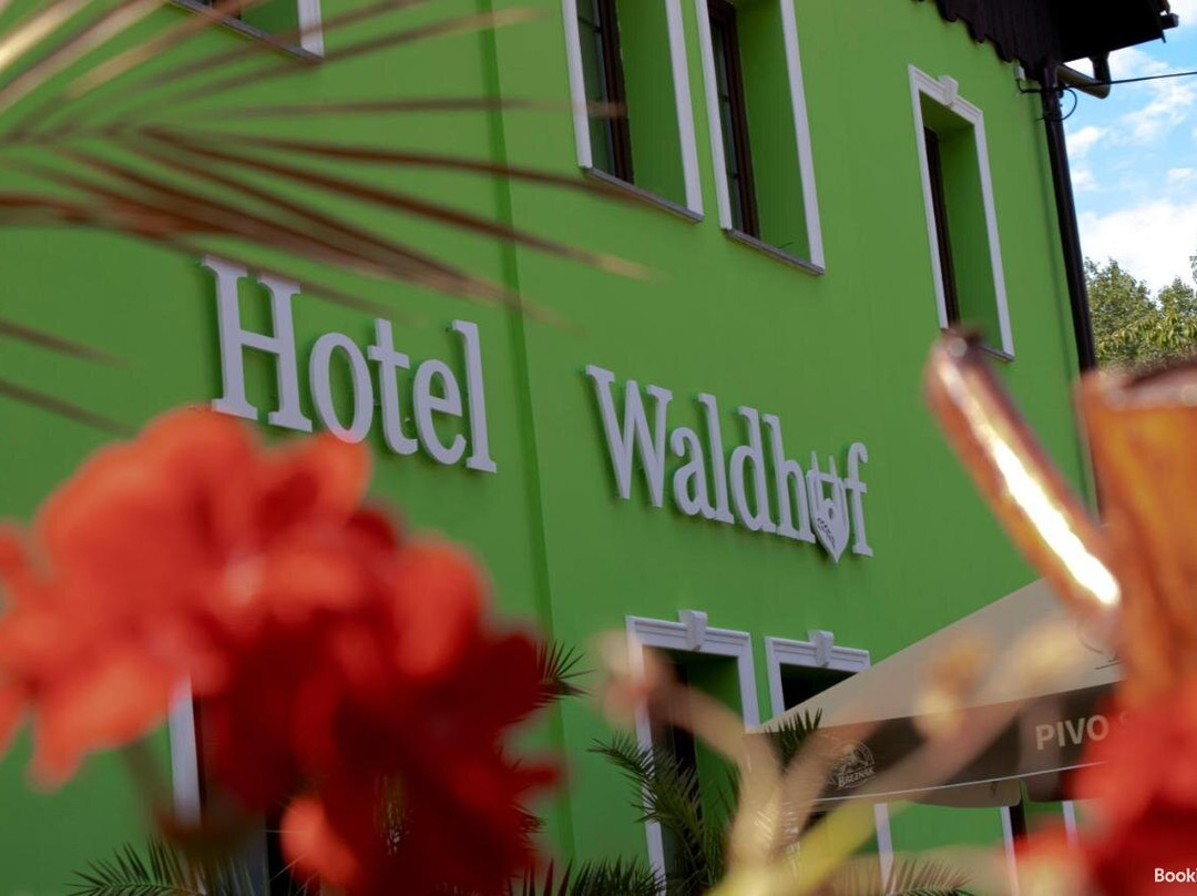 Waldhof主图