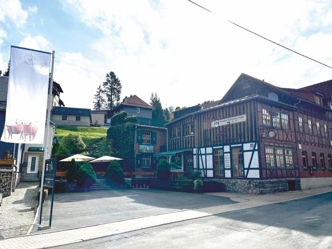 Gasthaus & Pension Schwarzer Adler主图