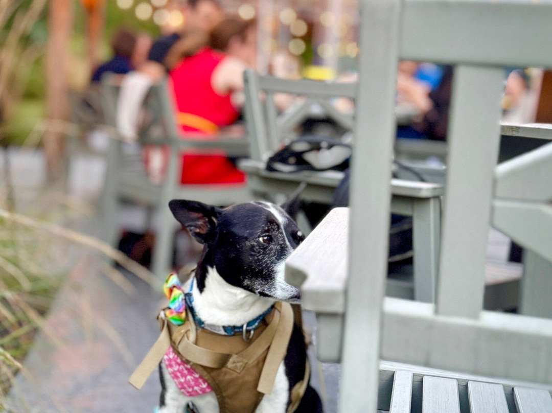 Hotel Zero Degrees Danbury主图