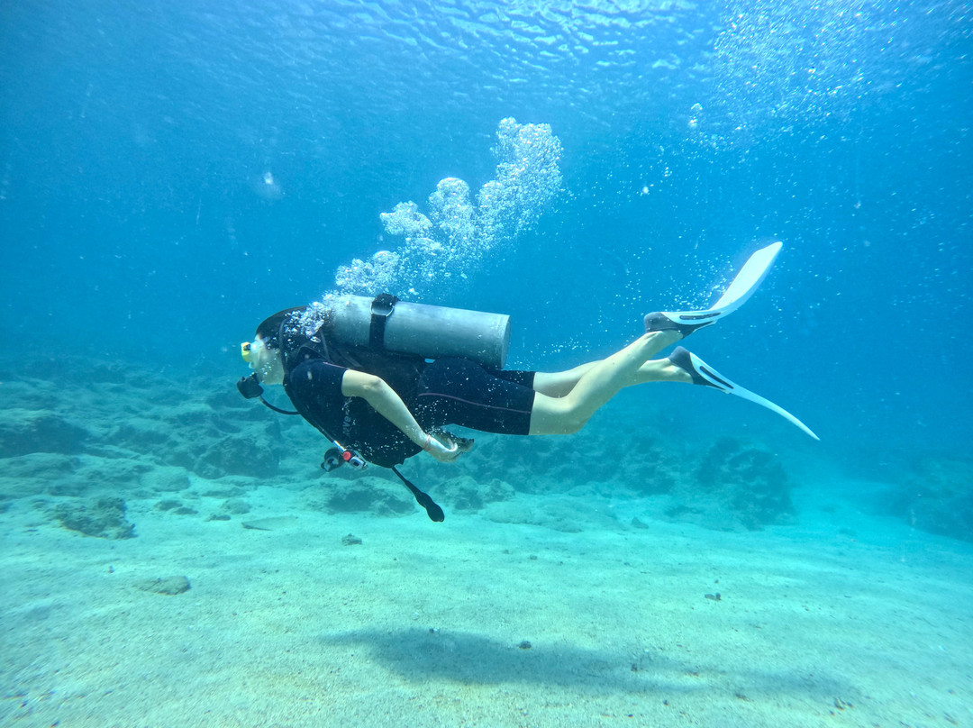 Aegean Barracuda Kas Turkey's Diving Center-卡斯必去景点