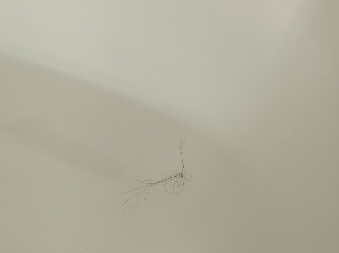 Hotel Senhora do Castelo主图