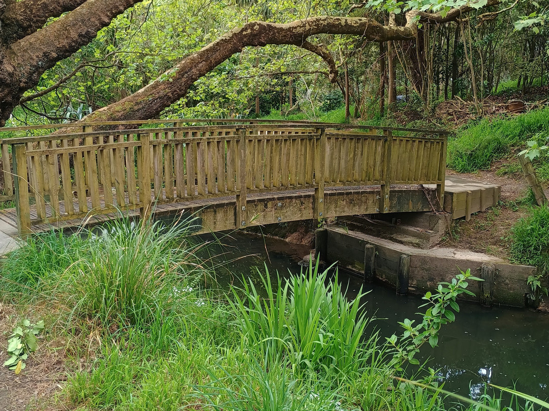 Oakley Creek Walkway-奥克兰中心地区必去景点