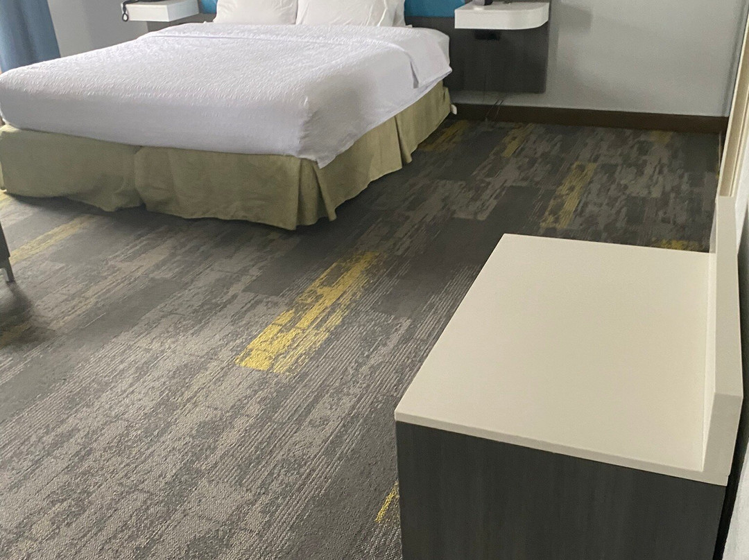 威尔士湖希尔顿恒庭旅馆&套房酒店主图