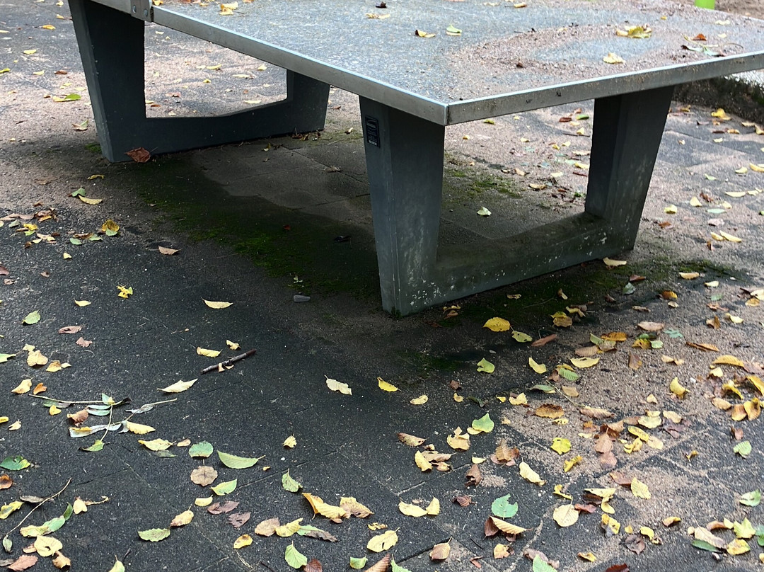 Spielplatz Gisbert-cremer-straße景点图片