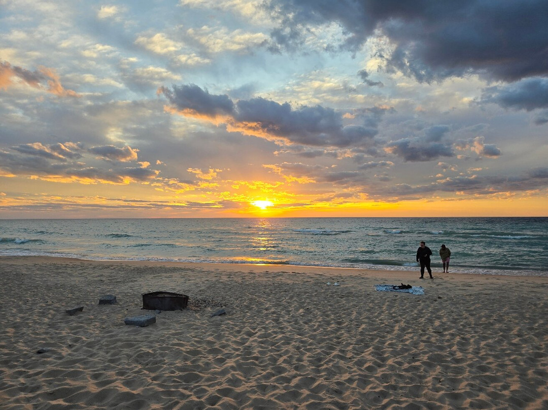 Lake Michigan Beach Park景点图片