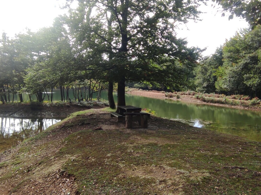 Parc Naturel de Chambaran-Saint-Pierre-de-Bressieux必去景点
