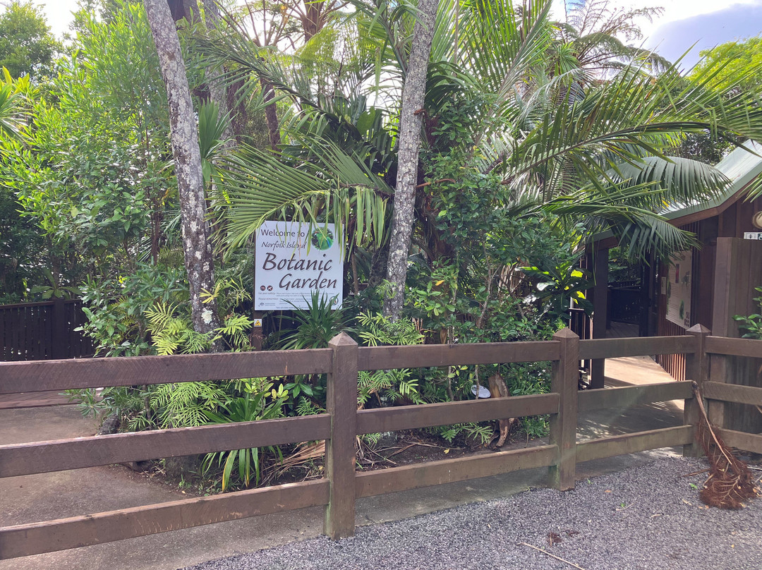 Norfolk Island National Park & Botanic Garden景点图片