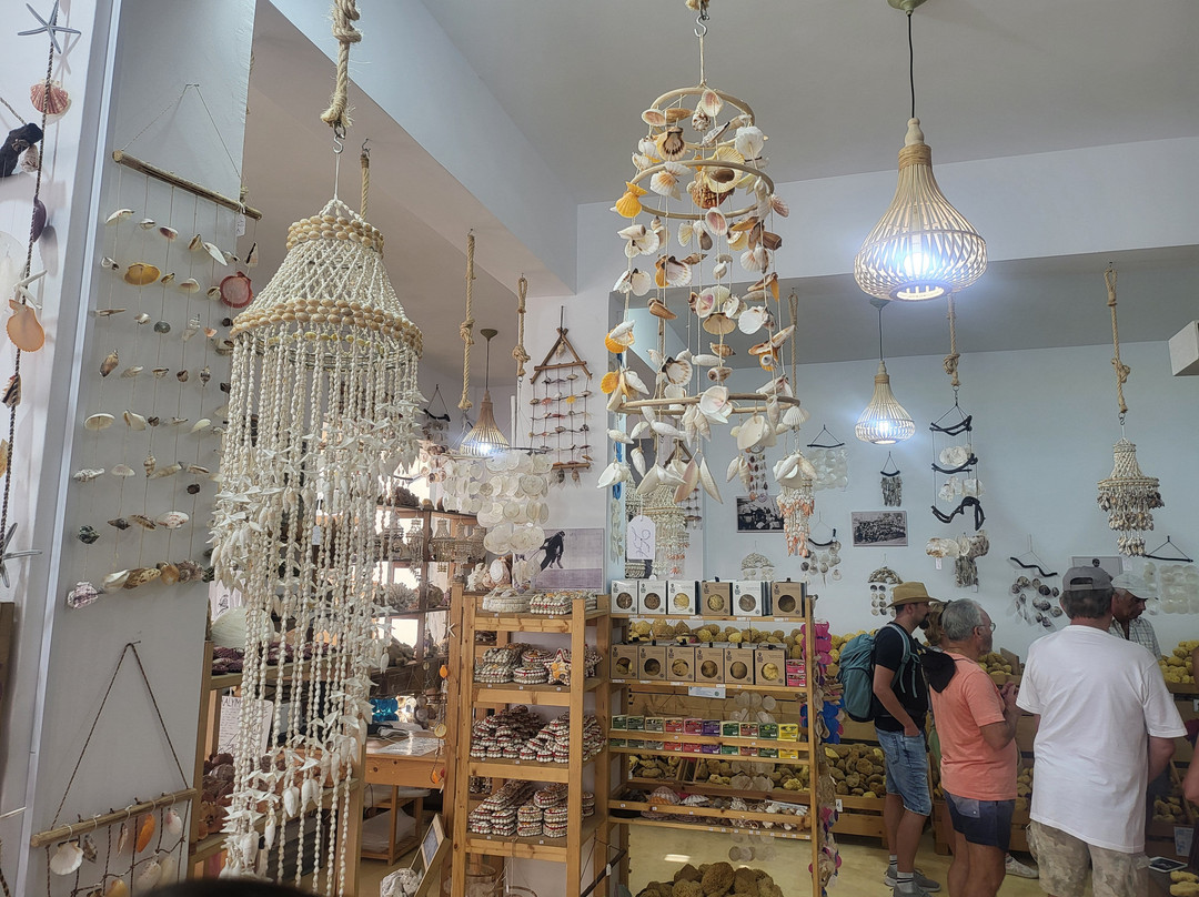 Factory of Natural Sponges-Pothia必去景点