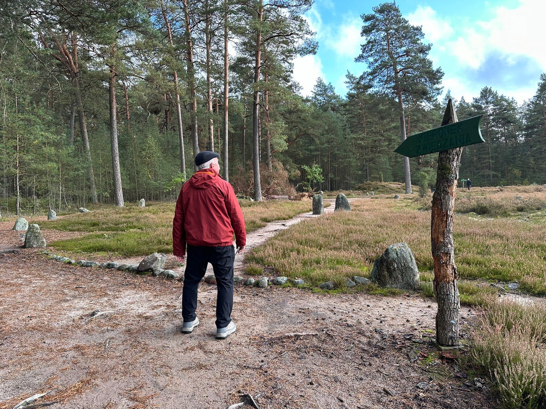 Stone Circles in Odry-Czersk必去景点
