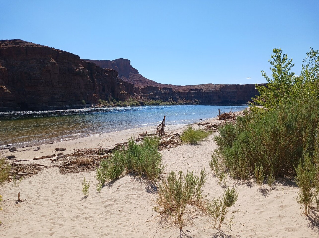 Lees Ferry-佩吉必去景点