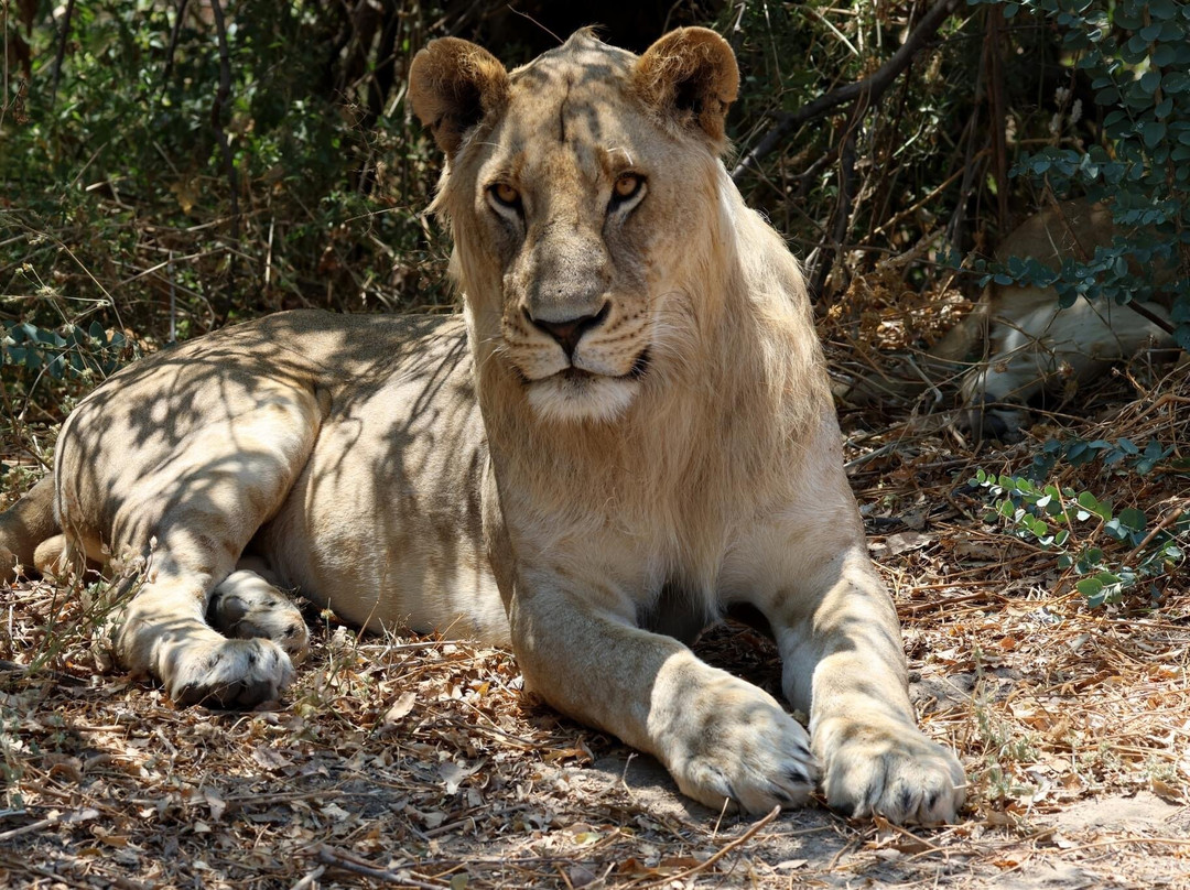 Mukuta Travels & Tours-Iringa必去景点