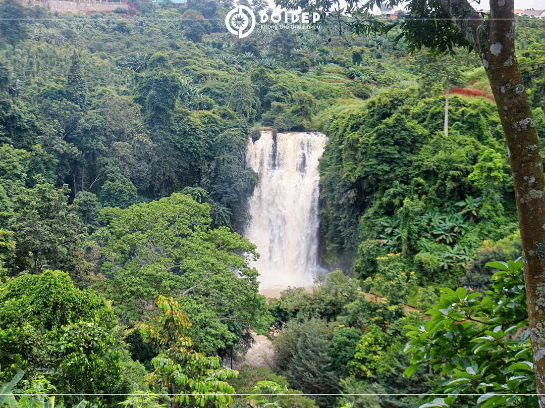 Tea Bobla Waterfall-Di Linh必去景点