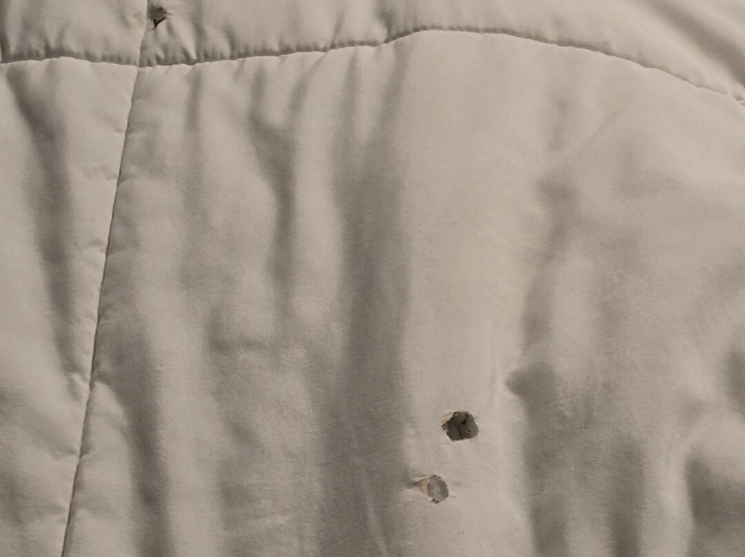 温德姆速8酒店奥马哈I-80西主图