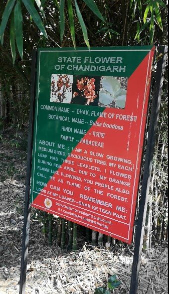 Butterfly Park-昌迪加必去景点