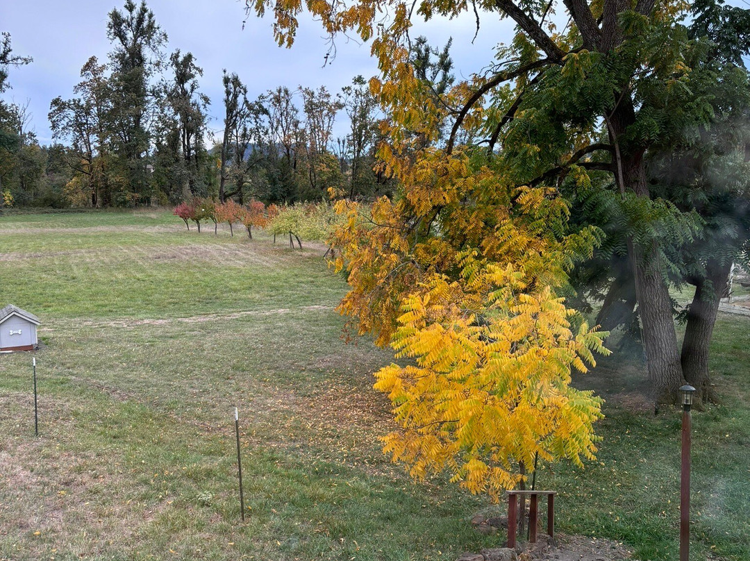 McKenzie Orchards Bed and Breakfast Inn主图