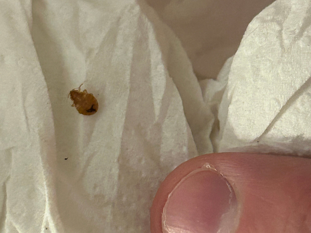 Hampton Inn Baltimore/bayview Campus主图