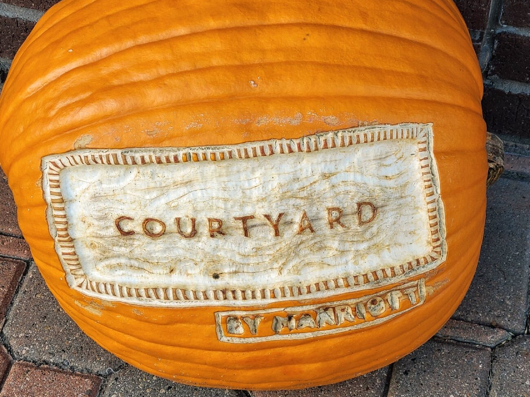 Courtyard by Marriott Holland Downtown主图