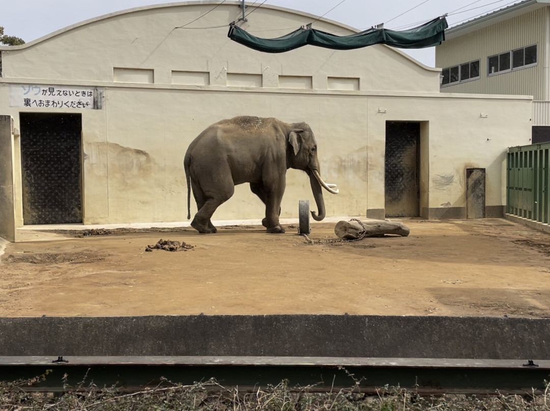 神户市立王子动物园-神户市必去景点