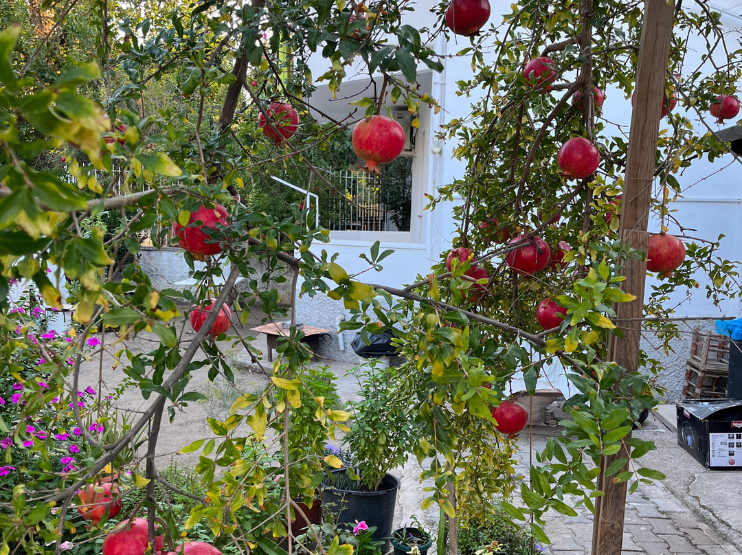 Crystal De Luxe Hotel主图