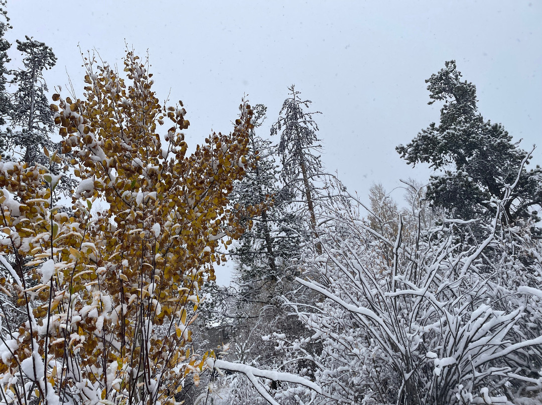 Walter Byron Park-弗里斯科必去景点