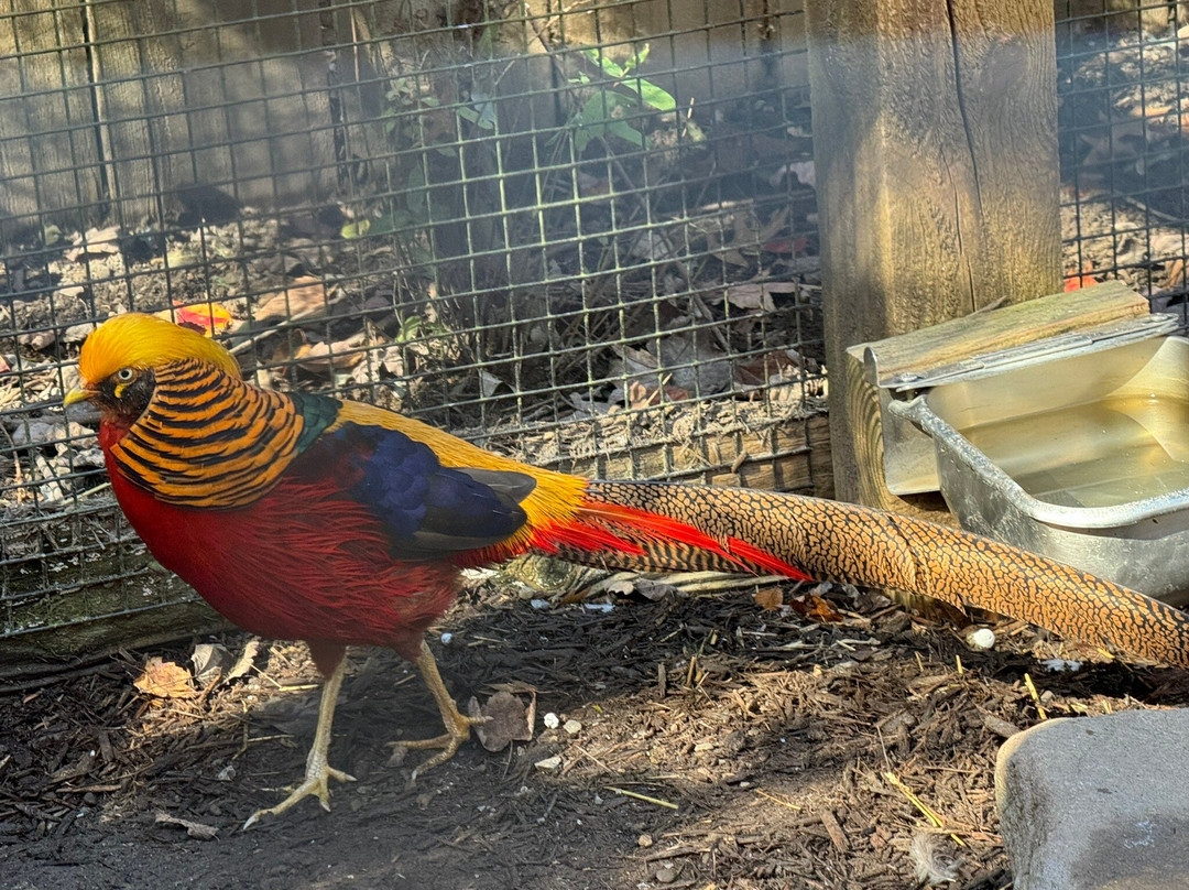 Living Treasures Wild Animal Park-New Castle必去景点