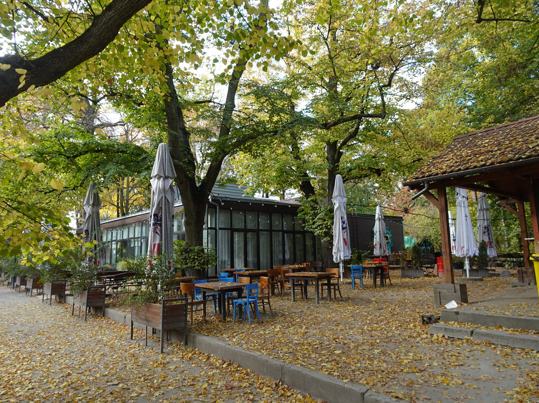 Park Południowy景点图片