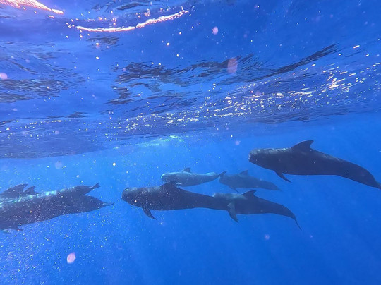 XpointMadeira - Eco tours-沙尔必去景点