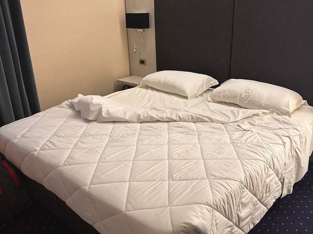 Roma Domus Hotel主图