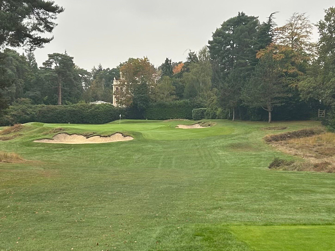St George's Hill Golf Club景点图片