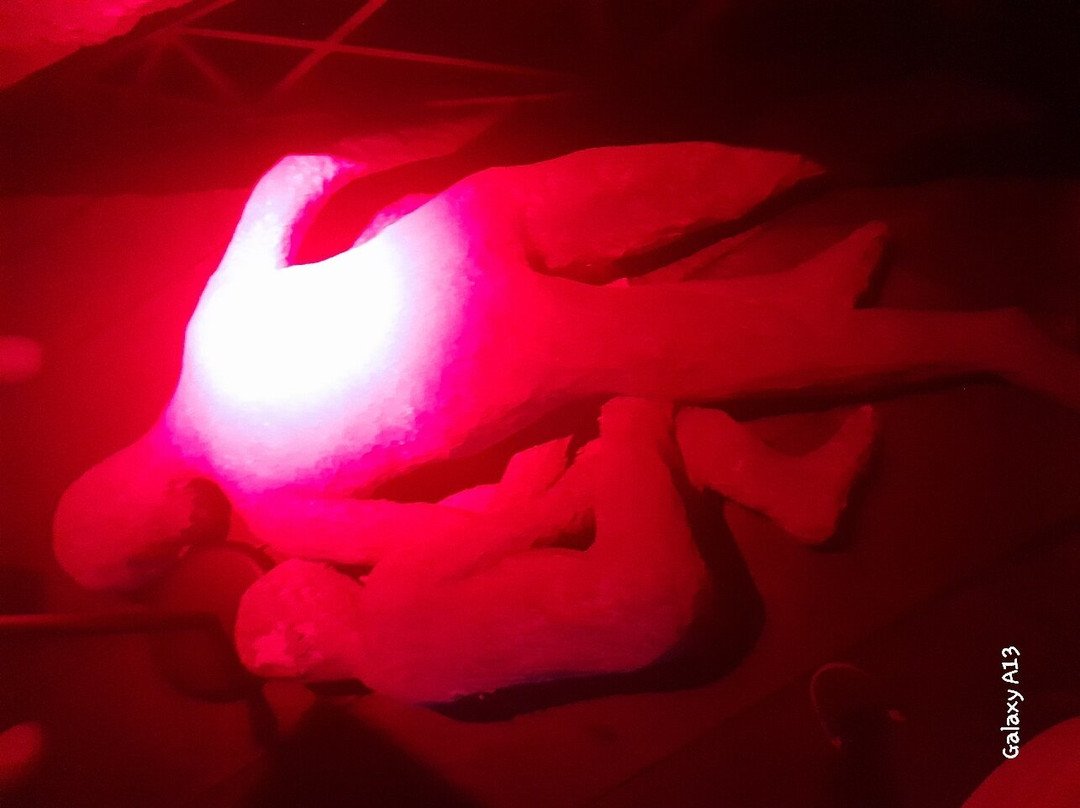 Museo Archeologico Virtuale (MAV)-埃尔科拉诺必去景点