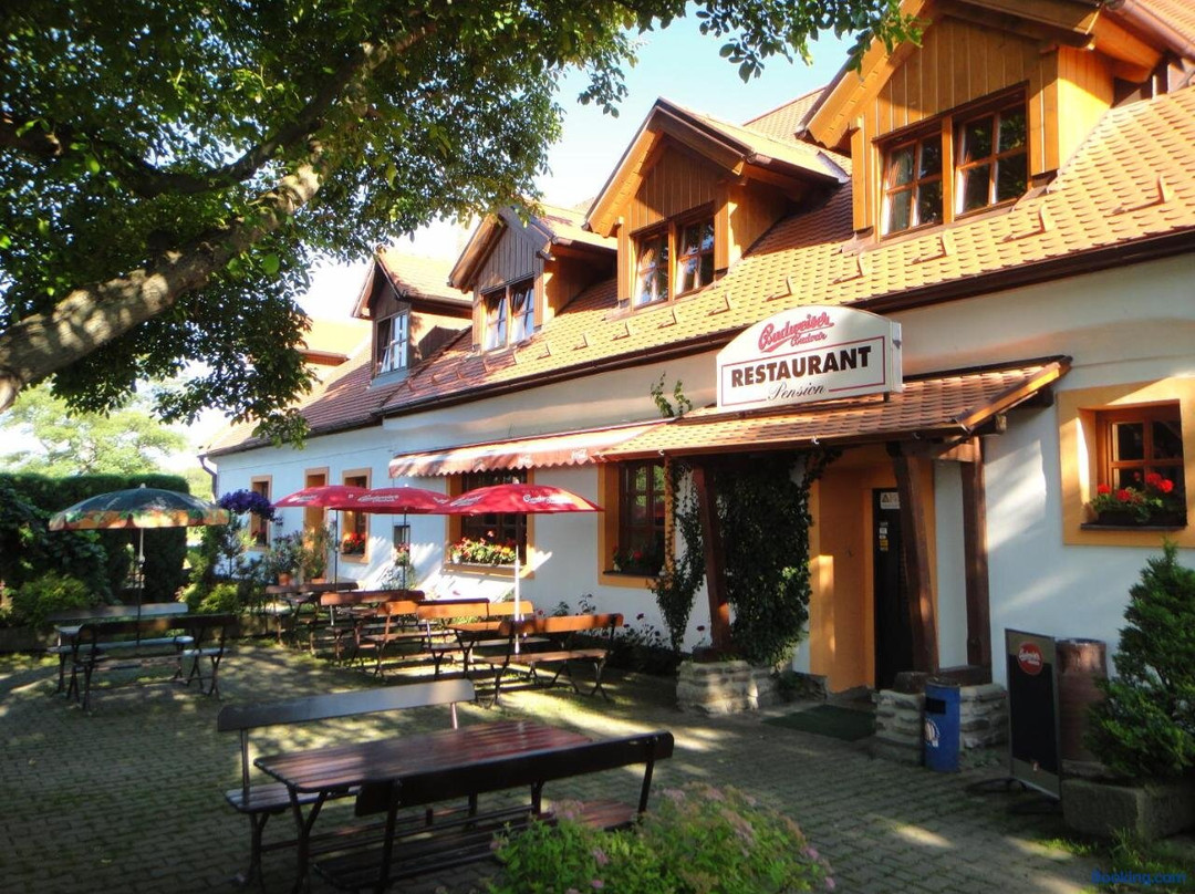 Restaurant & Pension U Konske Drahy Holkov