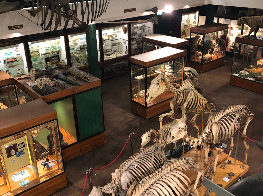 University of Aberdeen Zoology Museum-阿伯丁必去景点