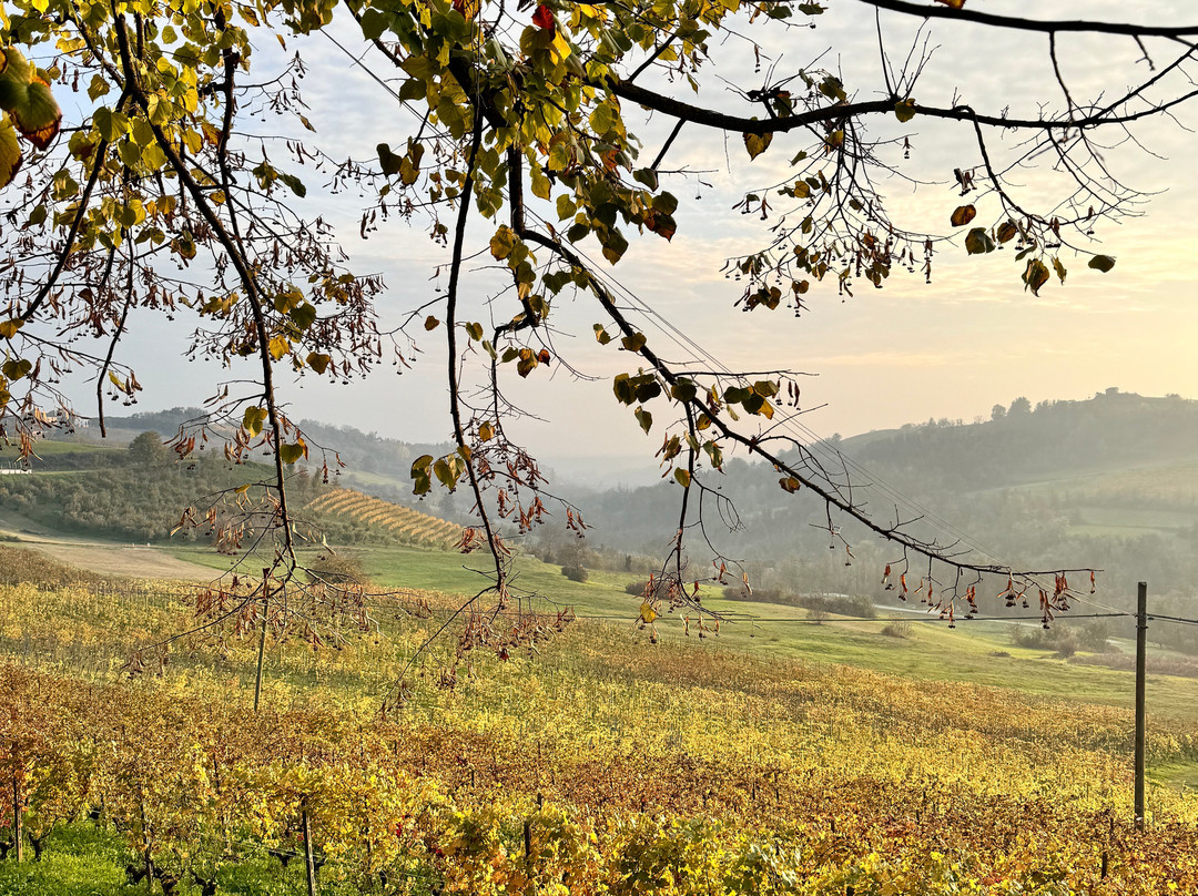Cascina Gilli景点图片