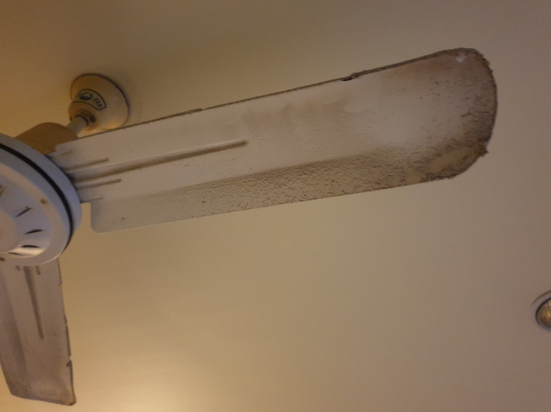 欧佩普莱斯酒店主图