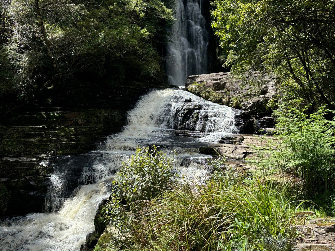 McLean Falls景点图片