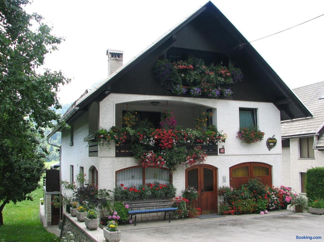 2 Studio & Apartment Cvetek Bohinj