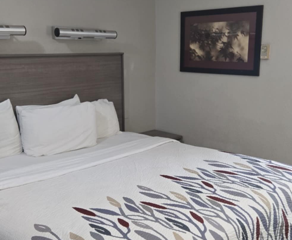 格林斯伯勒机场红屋顶酒店主图