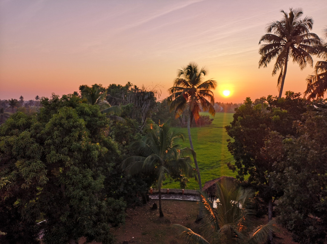 Athreya Ayurvedic Centre主图