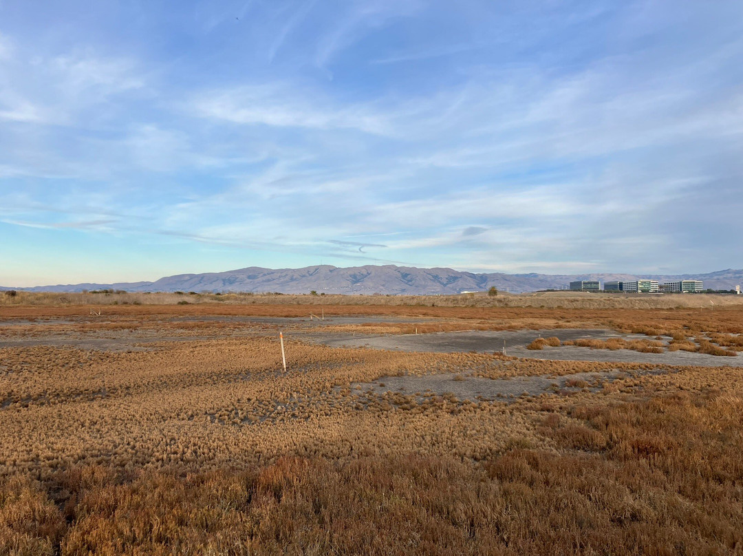 Baylands Park-森尼韦尔必去景点