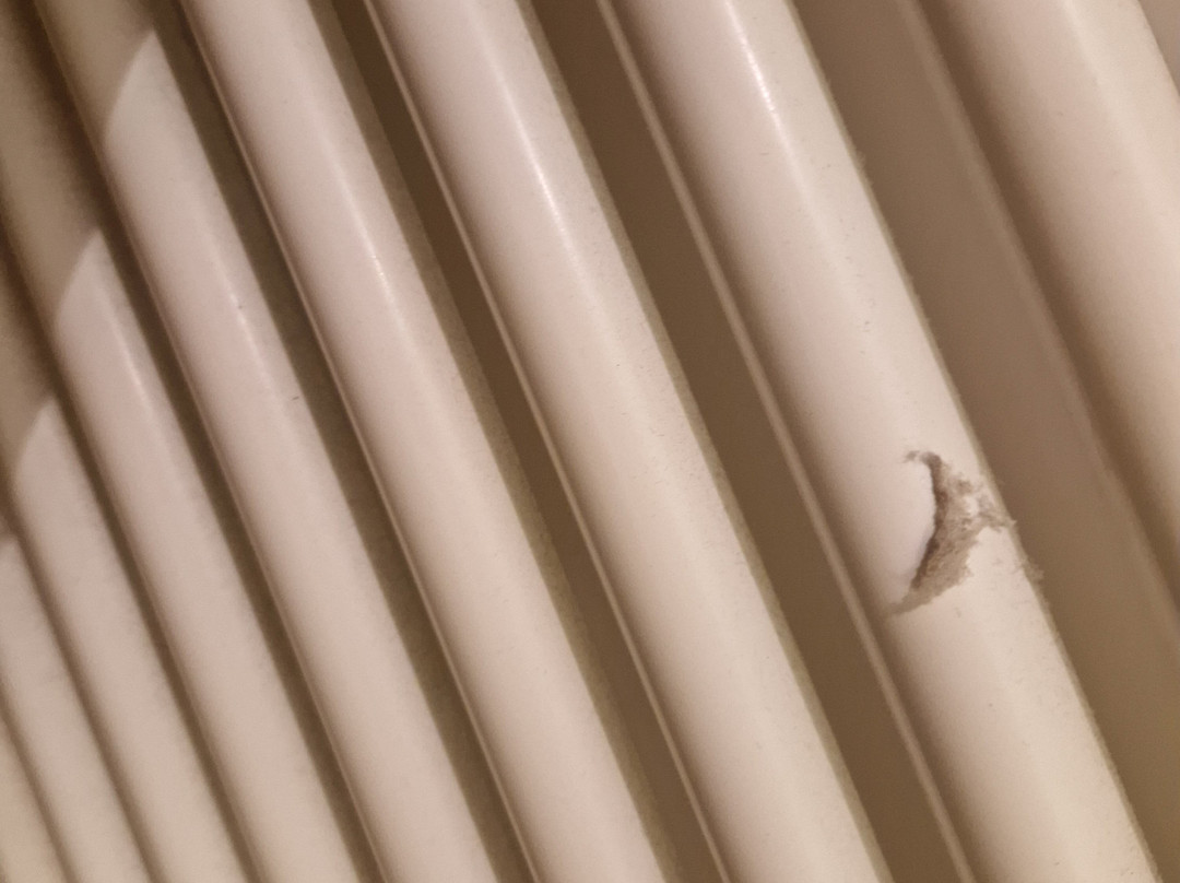 Waldhotel Tannenhauschen主图