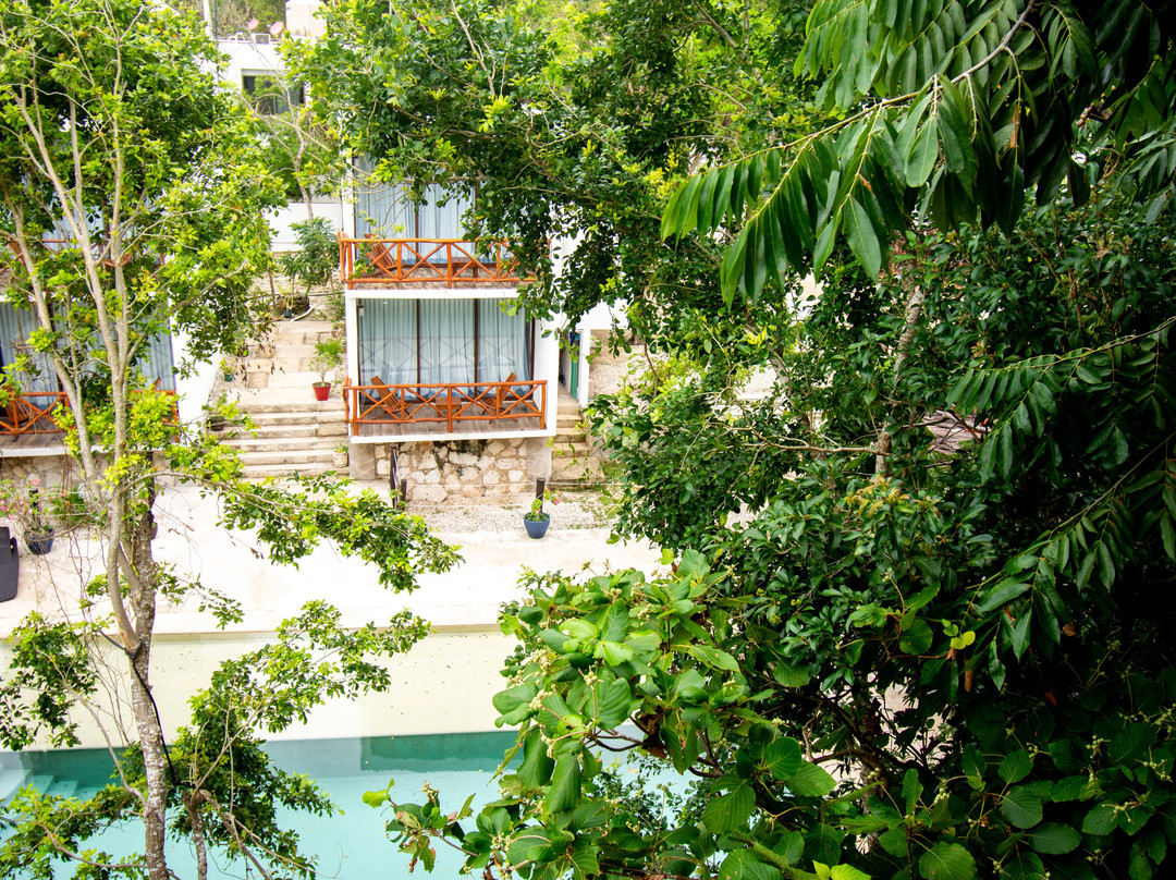 Cenotes Casa Tortuga主图