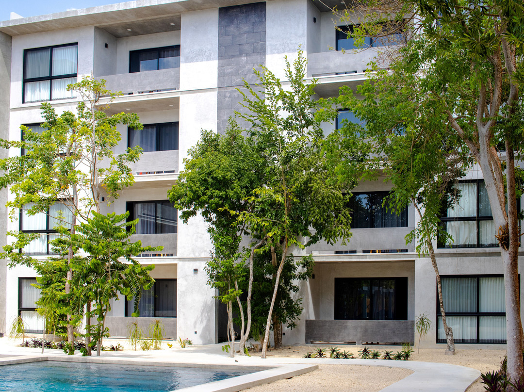 Soliman Bay酒店住宿-Cenotes Casa Tortuga