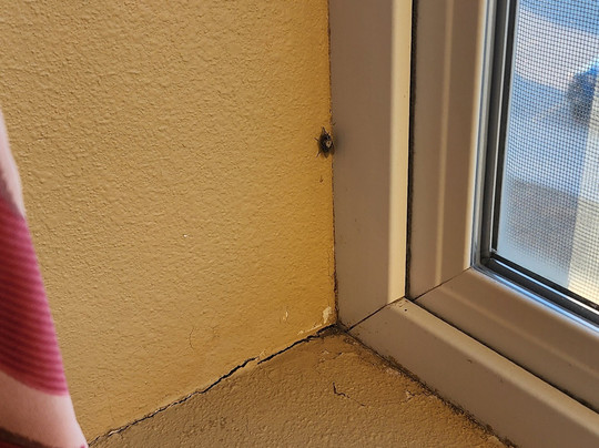 Wild Rose Casino and Resort主图