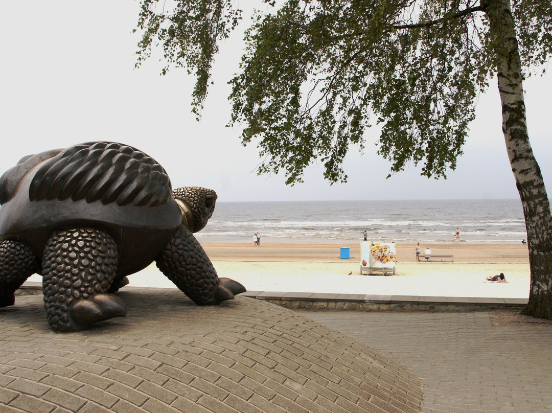Brunurupucis (The Turtle)-尤尔马拉必去景点