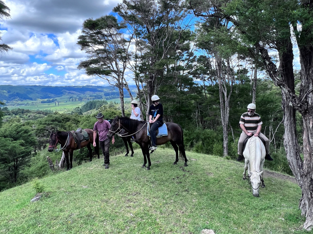 Nikau Valley Horse Treks景点图片