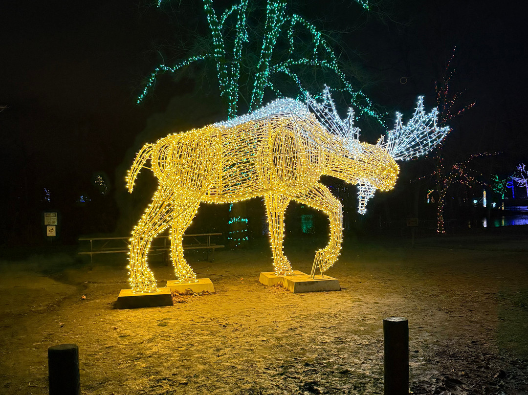 Holiday Inn Express Niagara-on-the-lake By IHG主图