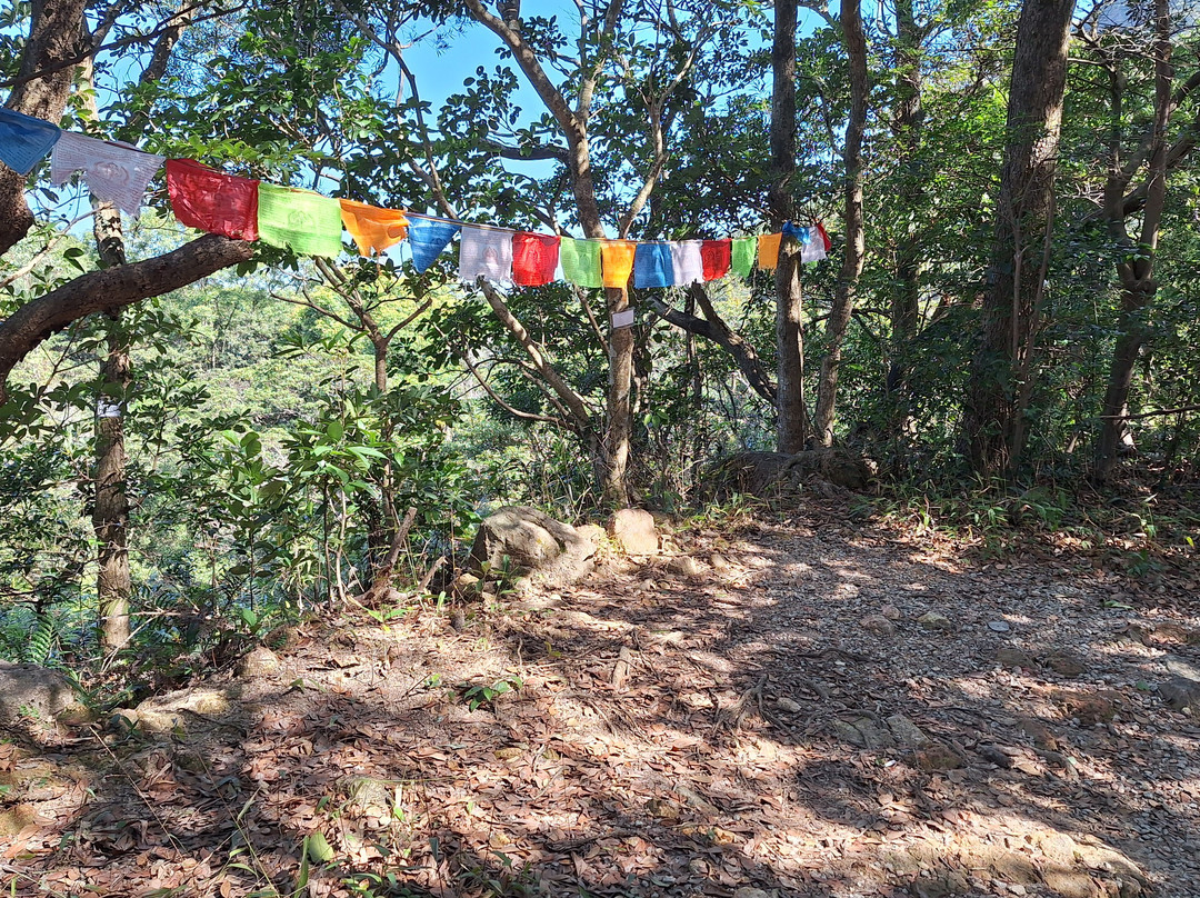 心经简林-香港必去景点