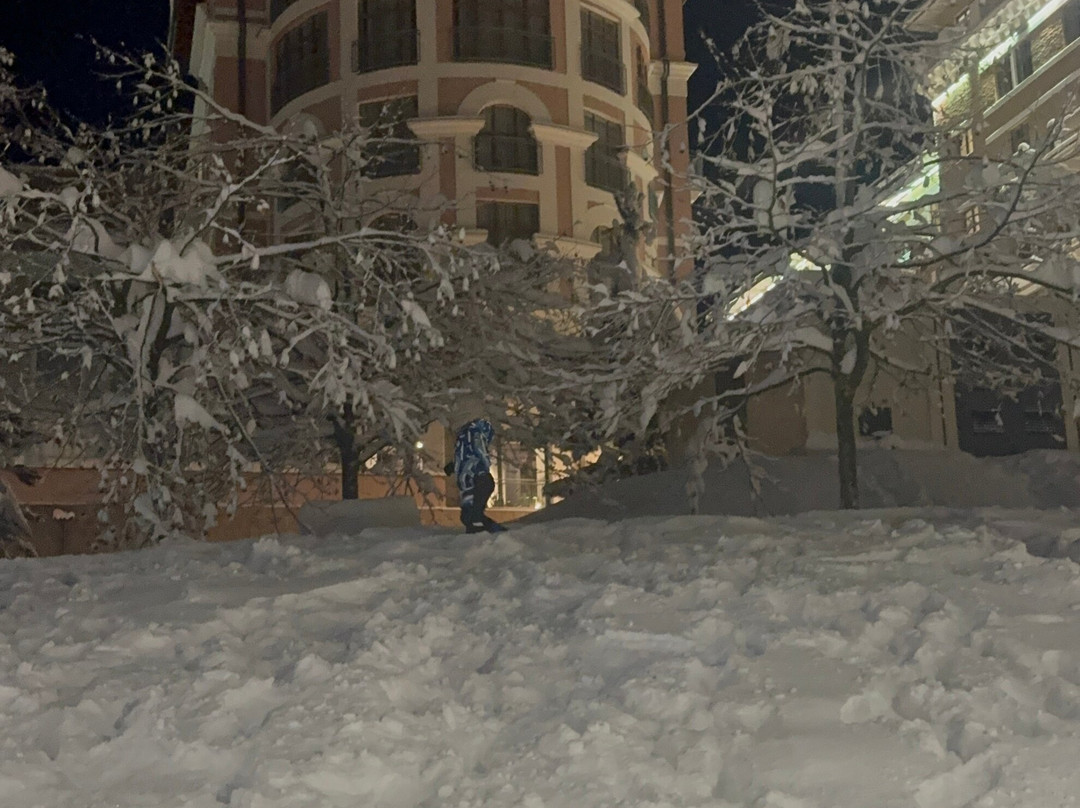Hotel Dolina 960主图